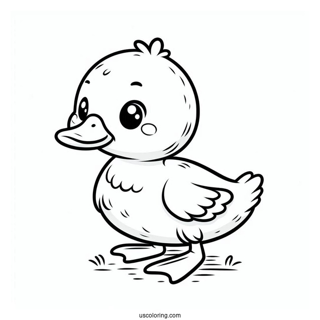 Cute Baby Duck To Color For Preschoolers