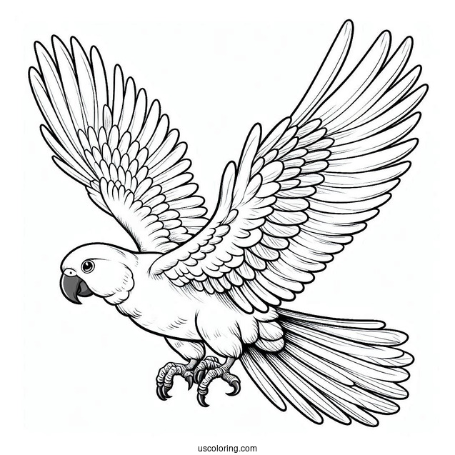 Parrot Flying With Large Wings