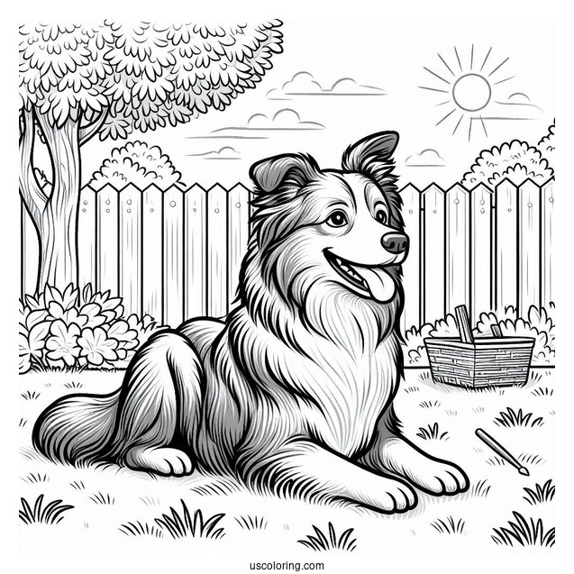 Border Collie Dog In Backyard Coloring Sheet