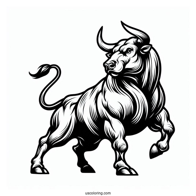 Easy Outline Of Fighting Bull Coloring In