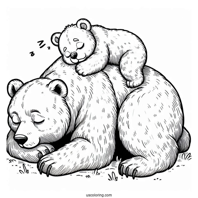 Bear Coloring Page Of Cub Sleeping On Mama Bear s Back While She s Walking