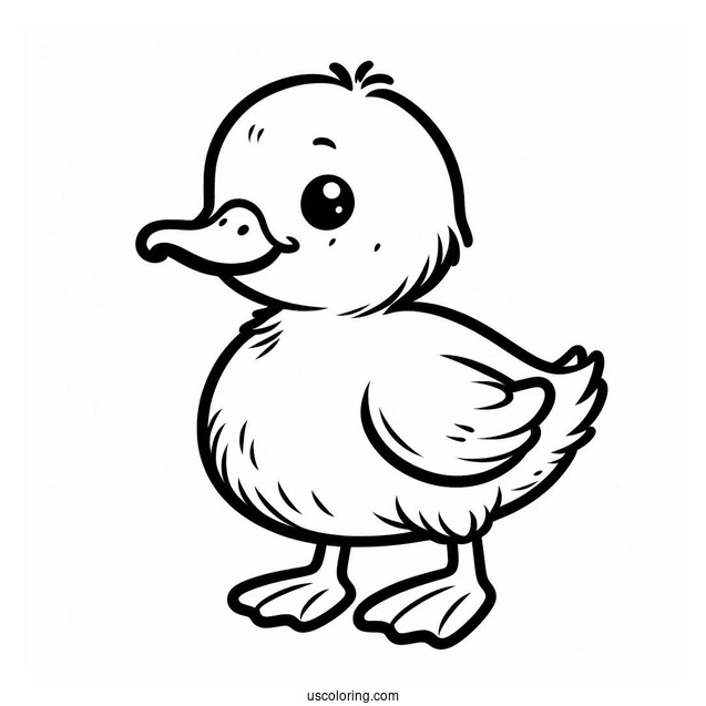 Simple Outline Of a Duckling To Color