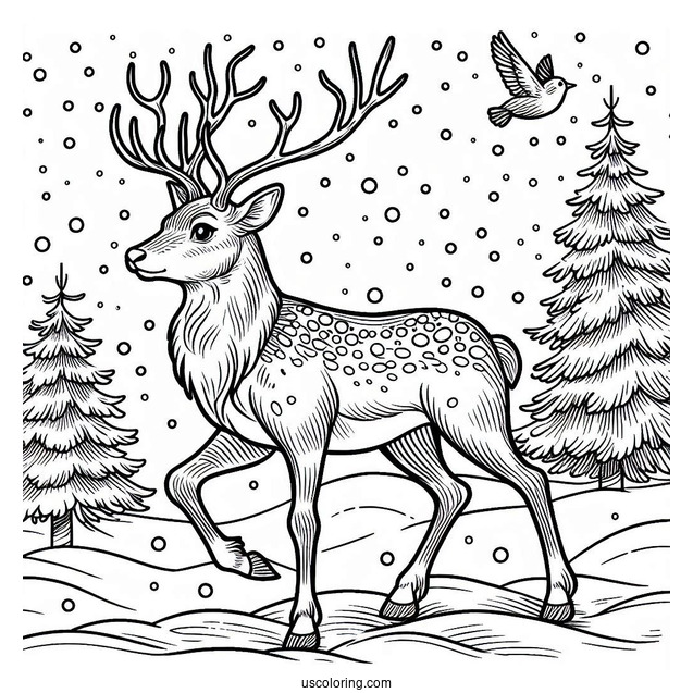 Wild Reindeer Walking In The Snow