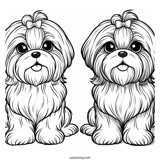 Adorable Shih Tzu To Color