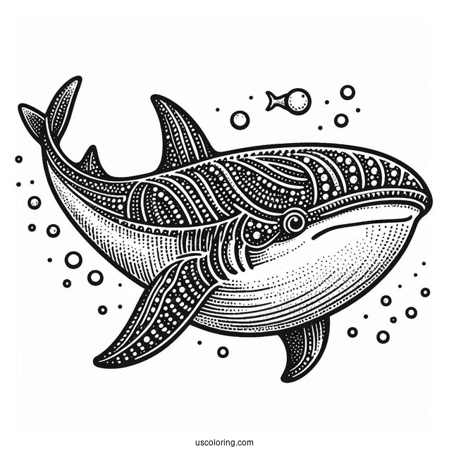 Textured Whale Shark Coloring Page
