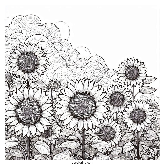 Sunflowers During A Cloudy Day