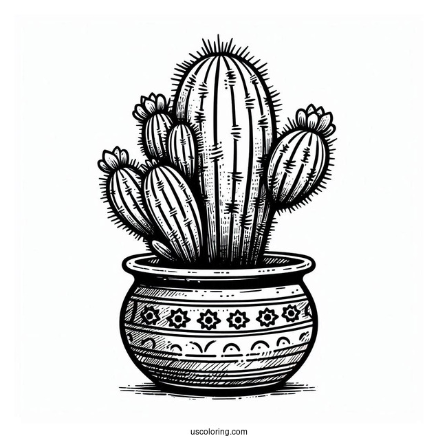 Baby Saguaro Cactus In South American Style Pot