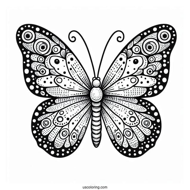 Butterfly With Spotted Wings