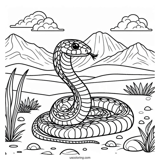 Snake Slithering In Desert