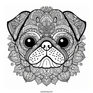 Intricate Mandala Pug Coloring Page Face For Adults