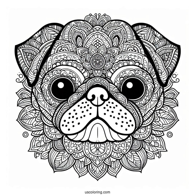 Intricate Mandala Pug Coloring Page Face For Adults
