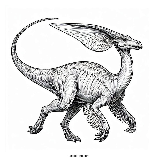 Realistic Parasaurolophus Coloring Page