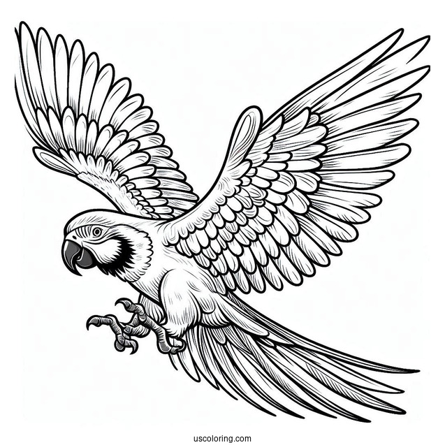 Parrot Flying With Large Wings