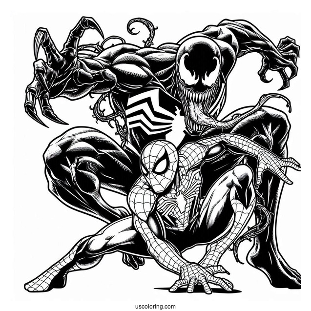 Detailed Spider-Man And Venom Coloring For Adults