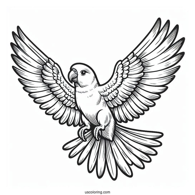 Parrot Flying With Large Wings