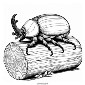 Hercules Beetle Coloring Page On A Log For Kids