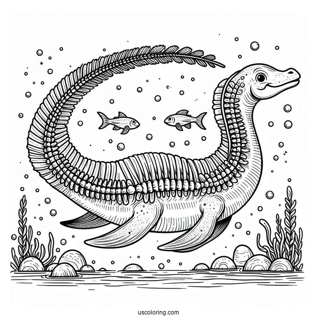Plesiosaur Vertebra Dinosaur Swimming Coloring Sheet