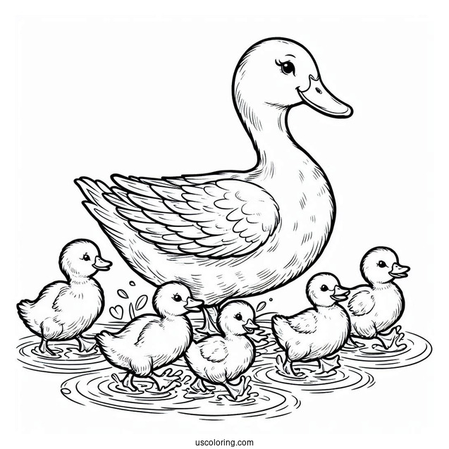 Ducklings Following Mom In The Pond