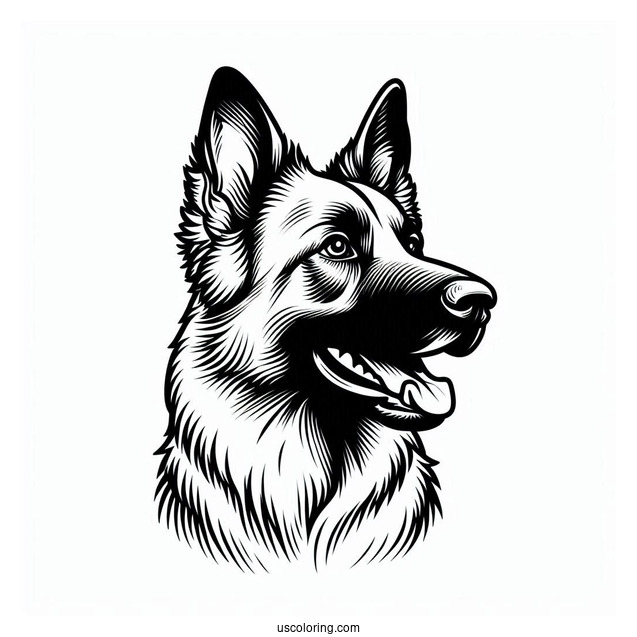 Outline Of Beglian Malinois Dog