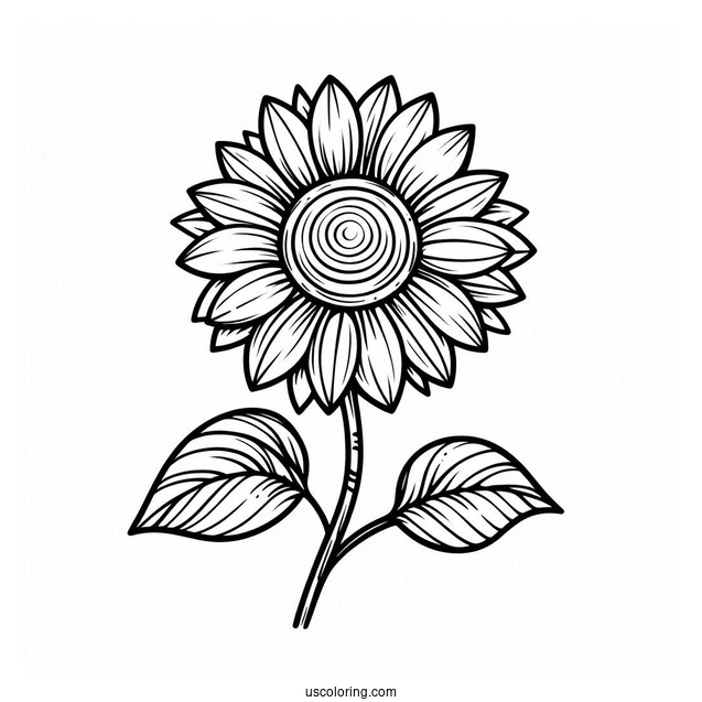 Flower Coloring Pages Of Sunflower Head Outline For Kids