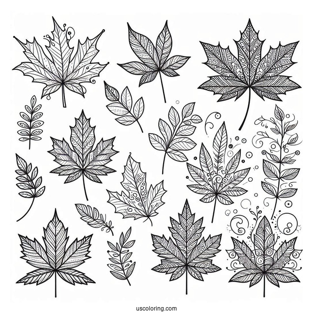 Maple Leaves Pattern Coloring Page