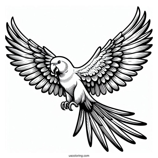 Parrot Flying With Large Wings