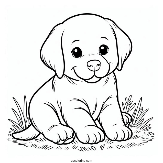 Simple Labrador Puppy On Grass To Color