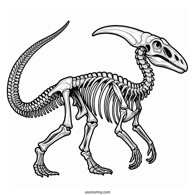 Parasaurolophus Coloring Page Skeleton