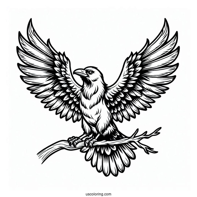 Cartoon Raven Coloring Page With Outspread Wings For Kids