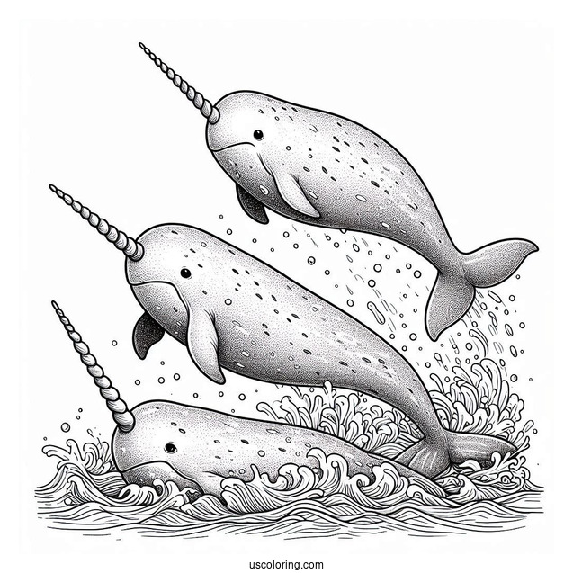Three Realistic Narwhal Coloring Page Whales Emerging From Water