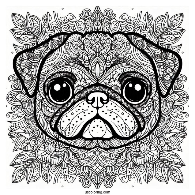 Intricate Mandala Pug Coloring Page Face For Adults