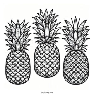 Easy Outline Of Pineapple Coloring For Kids