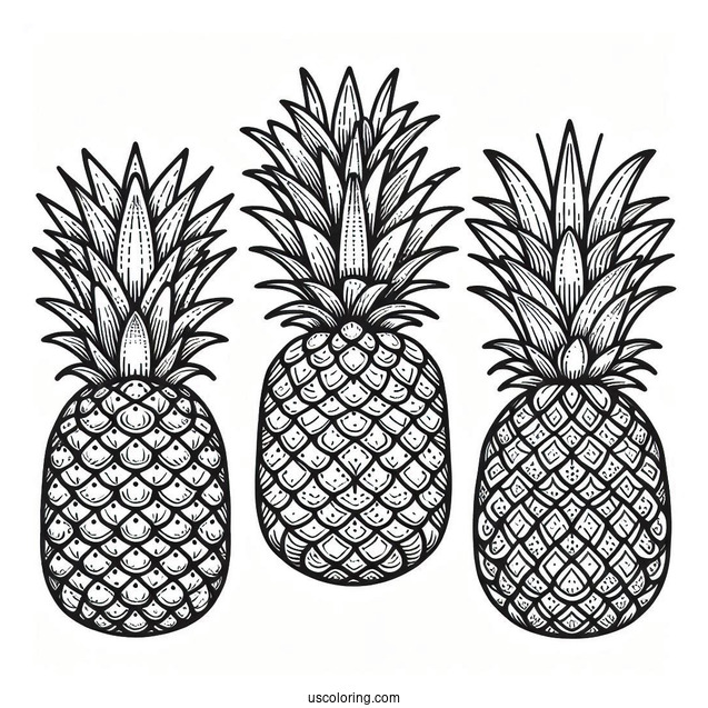 Easy Outline Of Pineapple Coloring For Kids