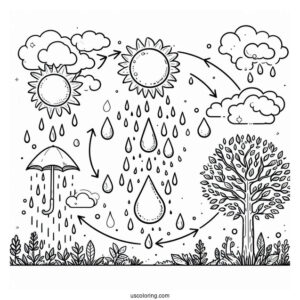 Rain Coloring Page Of Water Cycle Diagram