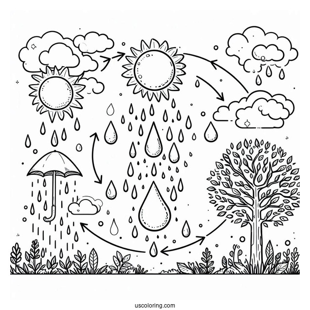 Rain Coloring Page Of Water Cycle Diagram