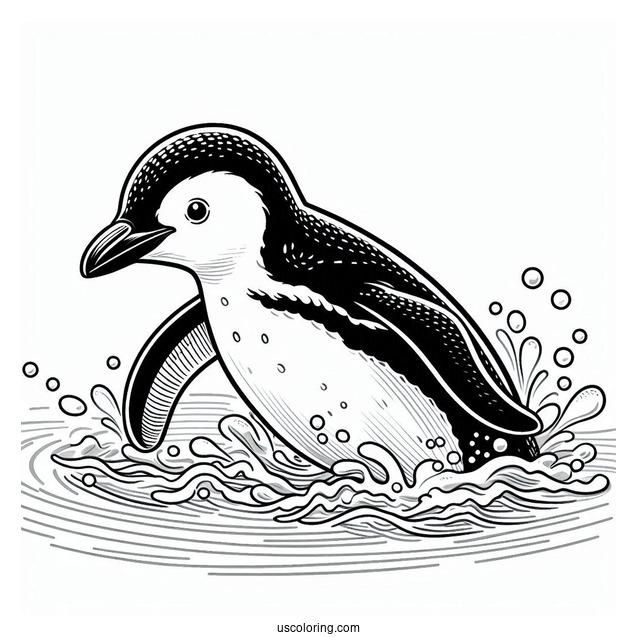 Swimming Galapagos Penguin Coloring In