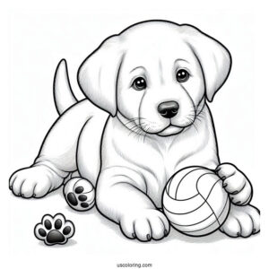 Realistic Labrador Puppy Playing With Ball Coloring In