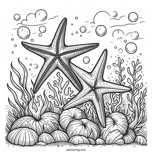 Two Starfish Coloring Page Crawling Along Coral Reef