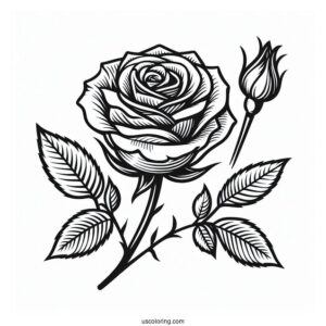 Simple Single Rose To Color