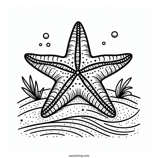 Easy Starfish Coloring Page On The Sand for Kids