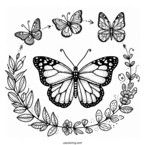 Comprehensive Butterfly Coloring Page Life Cycle