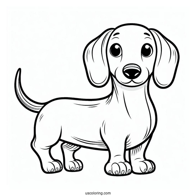 Cartoon Dachshund Coloring Page For Kids