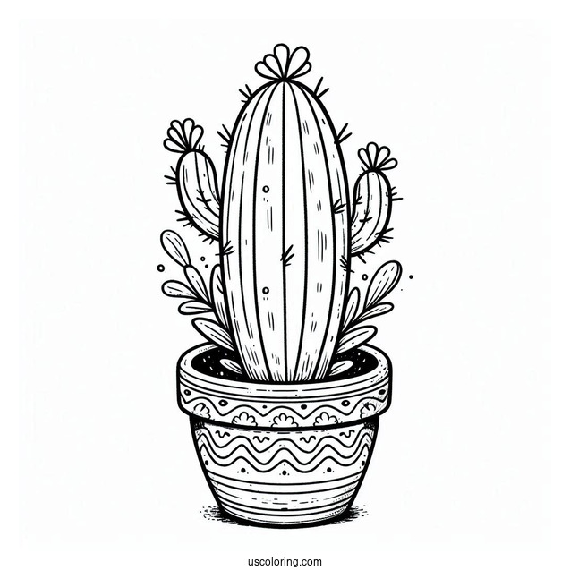 Baby Saguaro Cactus In South American Style Pot