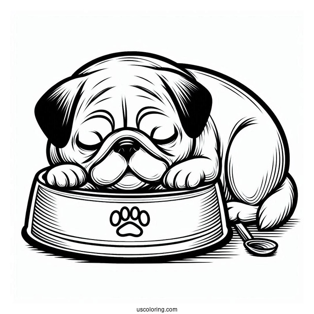 Adorable Pug Sleeping In Front Of Bowl