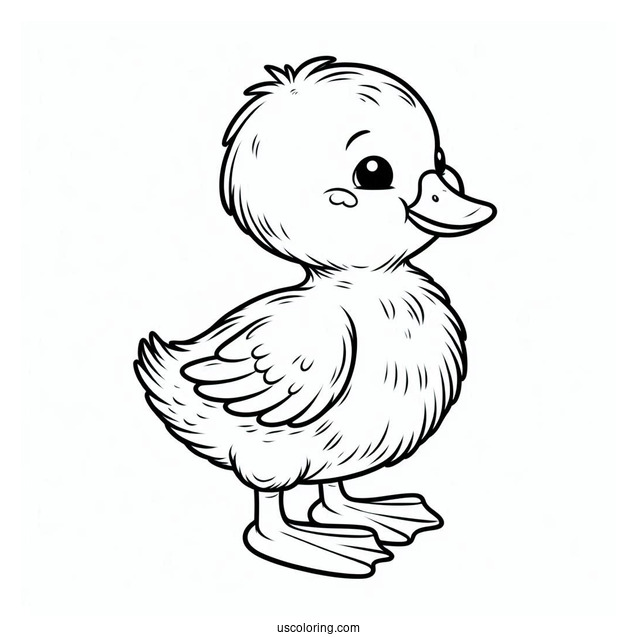 Simple Outline Of a Duckling To Color