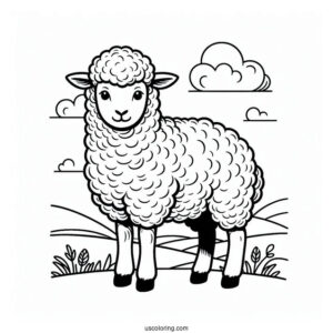 Sheep Standing In A Field Coloring Page