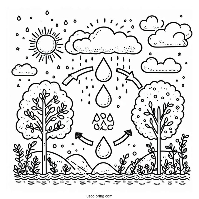 Rain Coloring Page Of Water Cycle Diagram