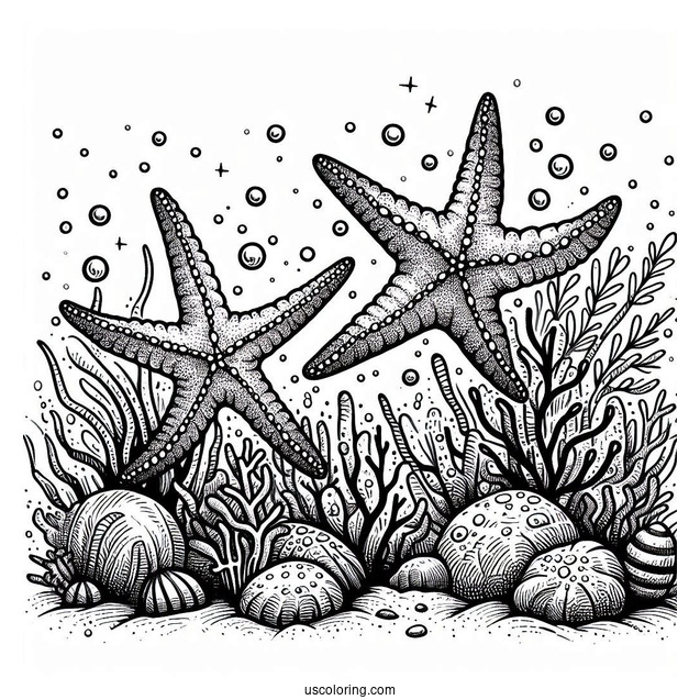 Two Starfish Coloring Page Crawling Along Coral Reef