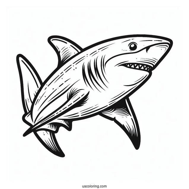 Great Shark Coloring Page Outline For Kids