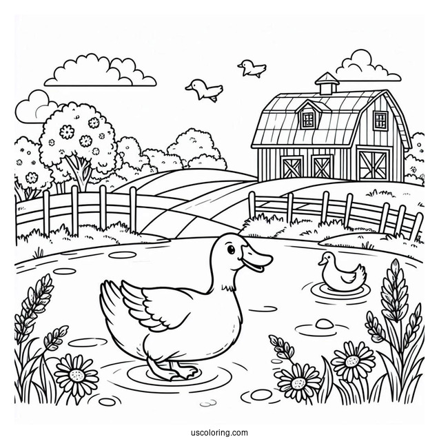 Duck Going To Pond On Farm To Color
